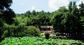 長(zhǎng)沙出發(fā)到花明樓、韶山、張家界國(guó)家森林公園、天門仙山國(guó)家森林公園四日游