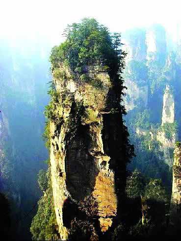 張家界國家地質森林公園、黃石寨、金鞭溪休閑一日游