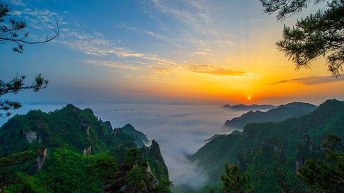 張家界森林公園（金鞭溪、袁家界、楊家界、天子山、十里畫廊）住山上2天1游（可看日出）