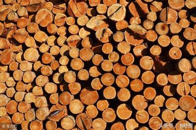 2018年上半年加纳木材出口呈正增长
