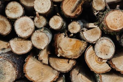 需求回暖,美国五大硬木价格均上涨,出口形势几何?